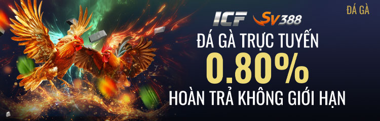 Hoàn Trả 0.80% Không Giới Hạn Mỗi ngày tại Đá Gà