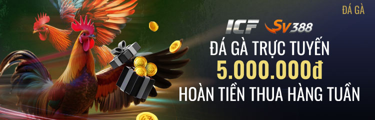 Hoàn tiền 3.88% hàng tuần tại Đá Gà