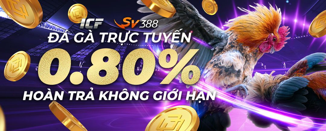 Hoàn Trả 0.80% Không Giới Hạn Mỗi ngày tại Đá Gà