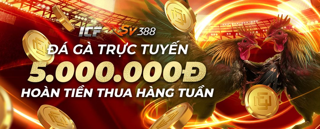 Hoàn tiền 3.88% hàng tuần tại Đá Gà